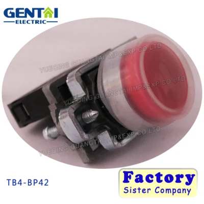 Tb4-Bp42 IP65 40 mm Chave de botão de cabeça chata vermelha